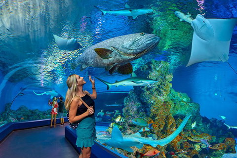 Cairns Aquarium Admission Ticket - Attractions Brisbane 3