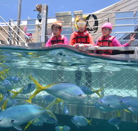 Outer Reef Pontoon Experience from Cairns - Attractions Brisbane