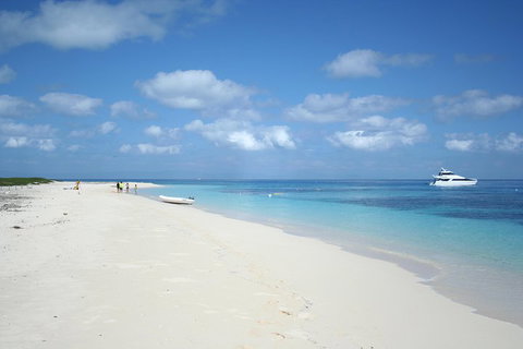 Seastar Luxury Outer Great Barrier Reef Island And Reef Tour From Cairns - Attractions Brisbane 3