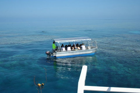 Seastar Luxury Outer Great Barrier Reef Island And Reef Tour From Cairns - Attractions Brisbane 5