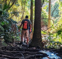 Hike to the Figure Eight Pools - Attractions Brisbane