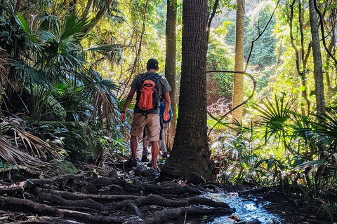 Hike To The Figure Eight Pools - Attractions Brisbane 0