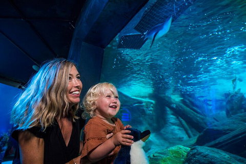 SEA LIFE Sunshine Coast Aquarium Entrance Ticket - Attractions Brisbane 0