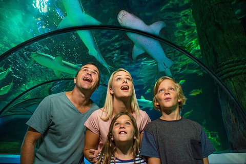 SEA LIFE Sunshine Coast Aquarium Entrance Ticket - Attractions Brisbane 3