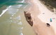 All-Inclusive Fraser Island Day Tour - thumb 1