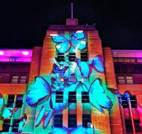 Vivid 90-Minute Sydney Harbour Small Group Catamaran Cruise - Attractions Brisbane