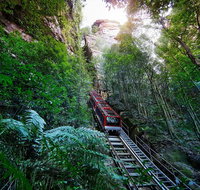 Private Blue Mountains Tour - Attractions Brisbane