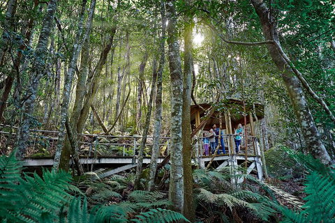Private Blue Mountains Tour - Attractions Brisbane 4