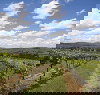 Hunter Valley Wine Tour from Sydney incl Lunch Cheese Chocolate and Distillery - Attractions Brisbane