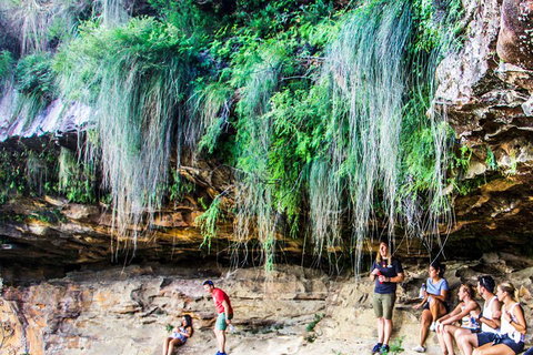 Sunset Blue Mountains Wilderness & Wildlife Tour Without The Crowds - Attractions Brisbane 1