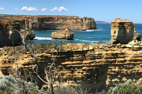 Great Ocean Road Reverse Itinerary Tour - Attractions Brisbane 1