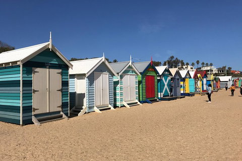 Phillip Island Penguin Parade, Brighton Bathing Boxes And Wildlife Park Tour - Attractions Brisbane 3