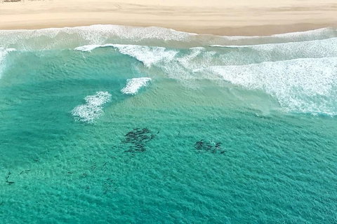 Coastal Helicopter Shared Flight - 20 Minutes - Attractions Brisbane 4