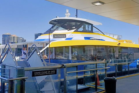 Brisbane City Essentials Walking Tour - Attractions Brisbane 3