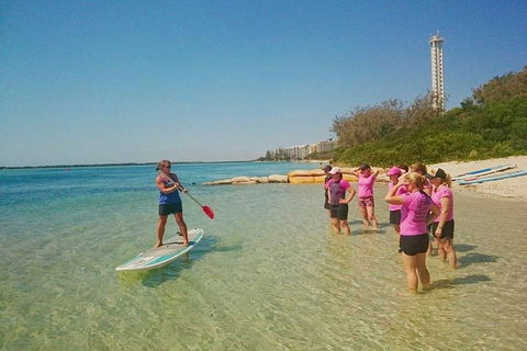 Golden Beach 1-Hour Stand-Up Paddleboard Hire On The Sunshine Coast - Attractions Brisbane 1