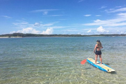Golden Beach 1-Hour Stand-Up Paddleboard Hire On The Sunshine Coast - Attractions Brisbane 4