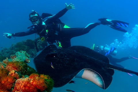 Scuba Dive The S.S. Yongala Wreck On The Great Barrier Reef. - Attractions Brisbane 0