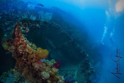 Scuba Dive The S.S. Yongala Wreck On The Great Barrier Reef. - Attractions Brisbane 3