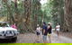 Great Beach Drive 4WD Tour - Private Charter From Noosa To Rainbow Beach - thumb 1