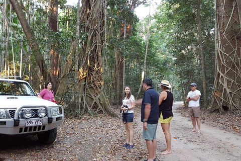Great Beach Drive 4WD Tour - Private Charter From Noosa To Rainbow Beach - Attractions Brisbane 1