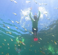 Manly Snorkel Trip and Nature Walk with Local Guide - Attractions Brisbane