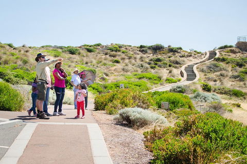 Margaret River Coastal And Wildlife Eco Trip From Busselton Or Dunsborough - Attractions Brisbane 0