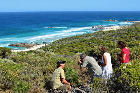 Margaret River Coastal And Wildlife Eco Trip From Busselton Or Dunsborough - Attractions Brisbane 2