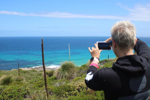 Margaret River Coastal And Wildlife Eco Trip From Busselton Or Dunsborough - Attractions Brisbane 3