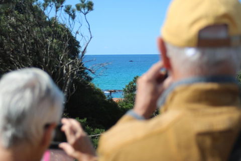 Margaret River Coastal And Wildlife Eco Trip From Busselton Or Dunsborough - Attractions Brisbane 5